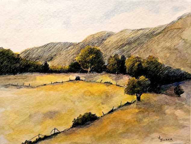 Tennessee landscape done in pen and watercolor